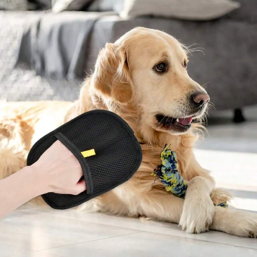 Guante Eliminador de Pelo para Mascotas