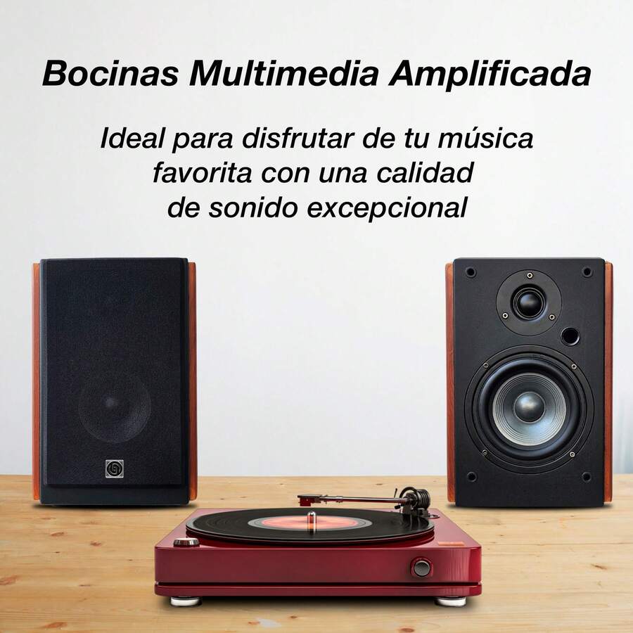 Monitor Estudio Multimedia 5.25 Pulgadas