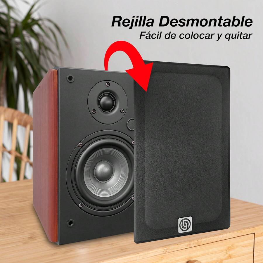 Monitor Estudio Multimedia 5.25 Pulgadas