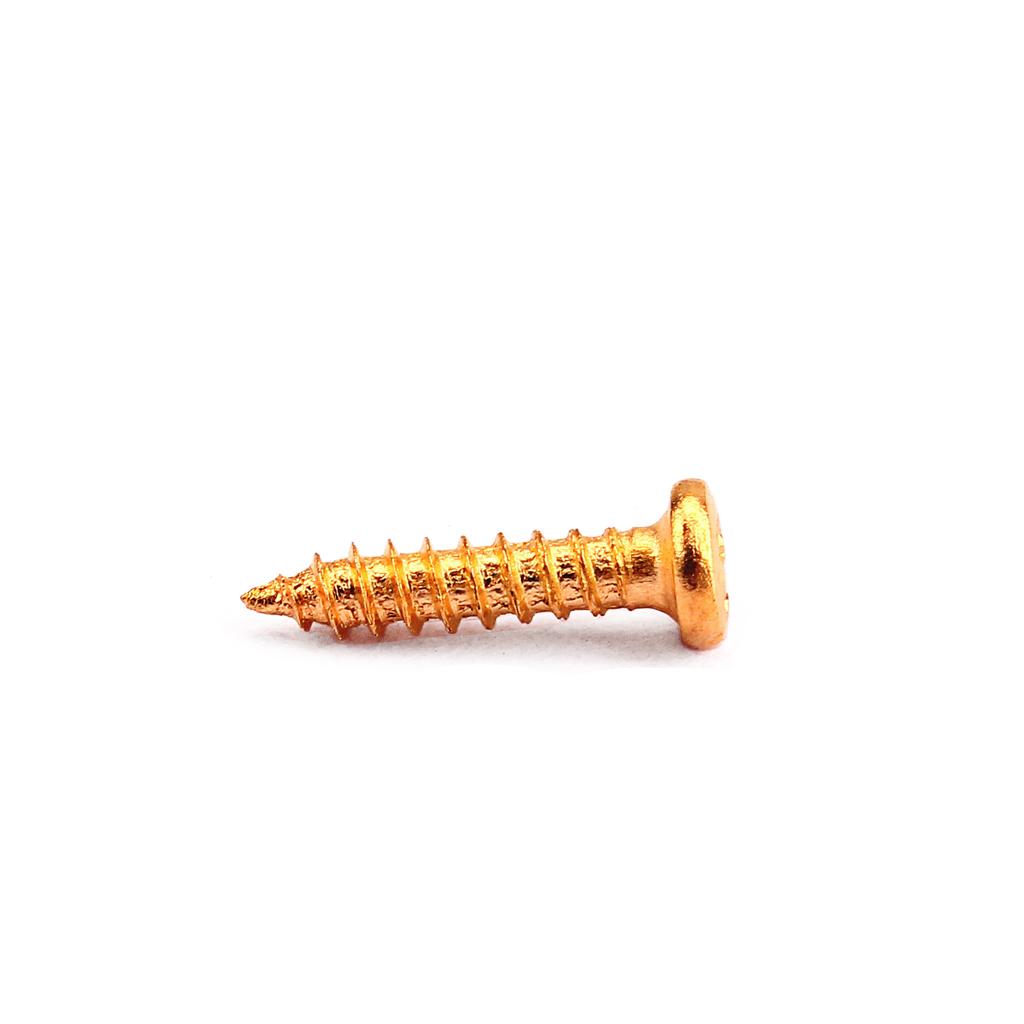 Tornillos de Montaje para Clavija