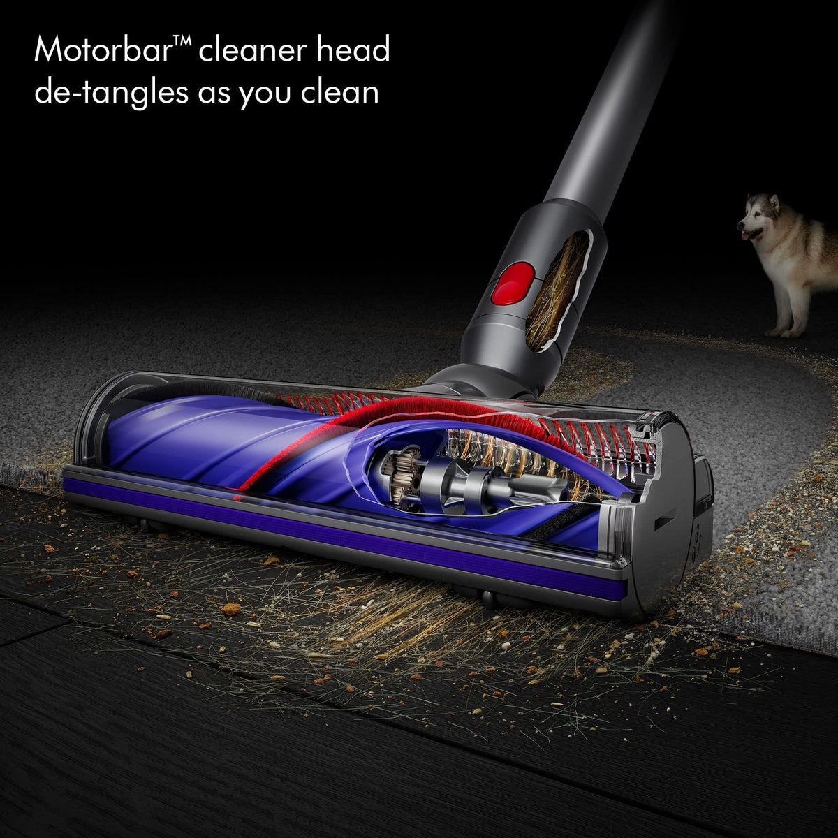 Aspirador Dyson