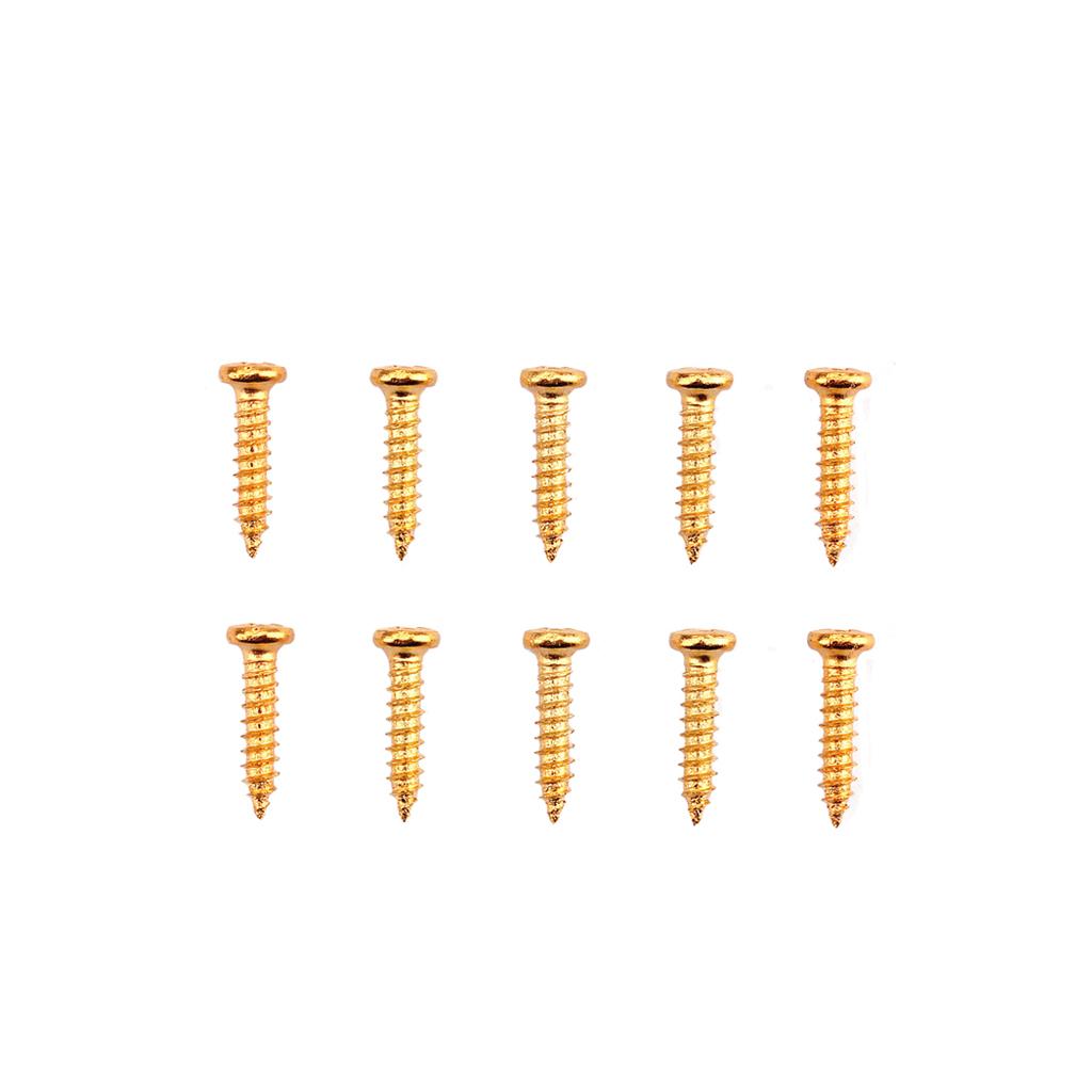 Tornillos de Montaje para Clavija