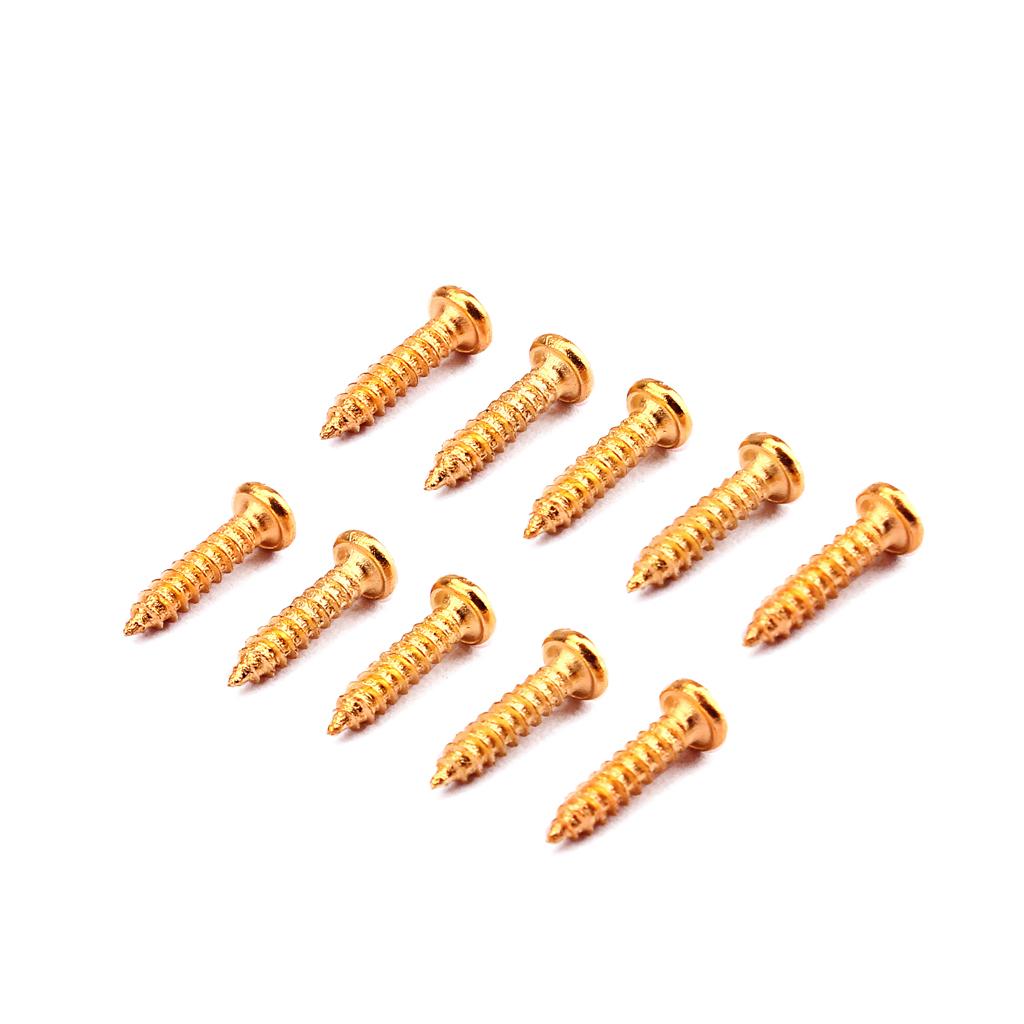 Tornillos de Montaje para Clavija