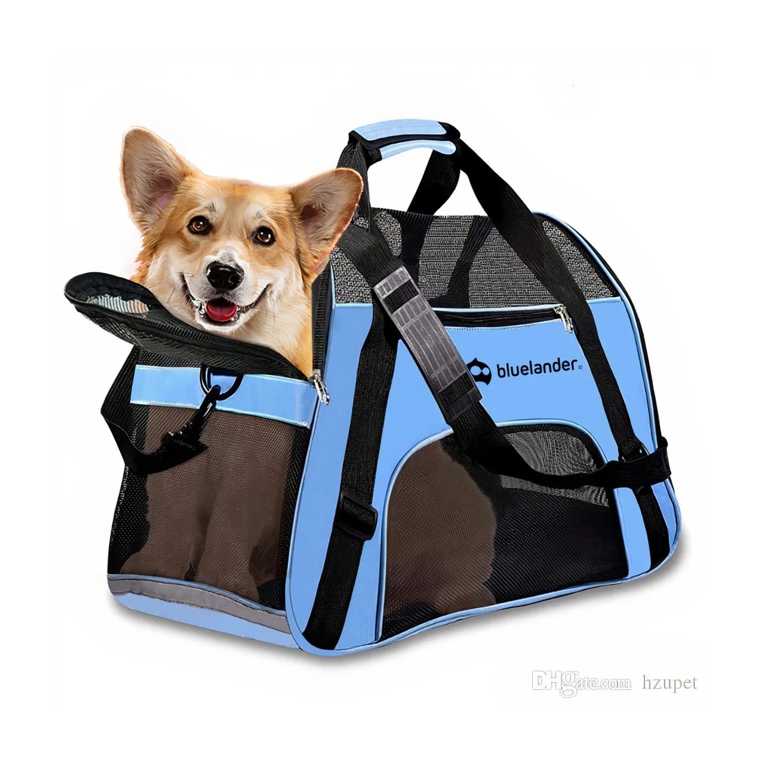 Transportadora para Perro y gato