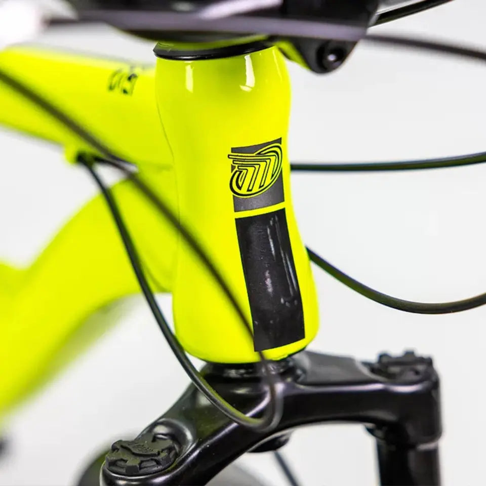 Bici Mercurio