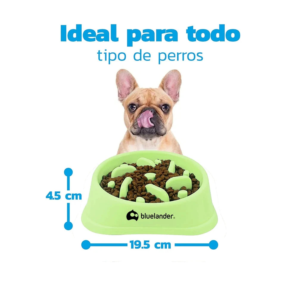 Plato para Perro