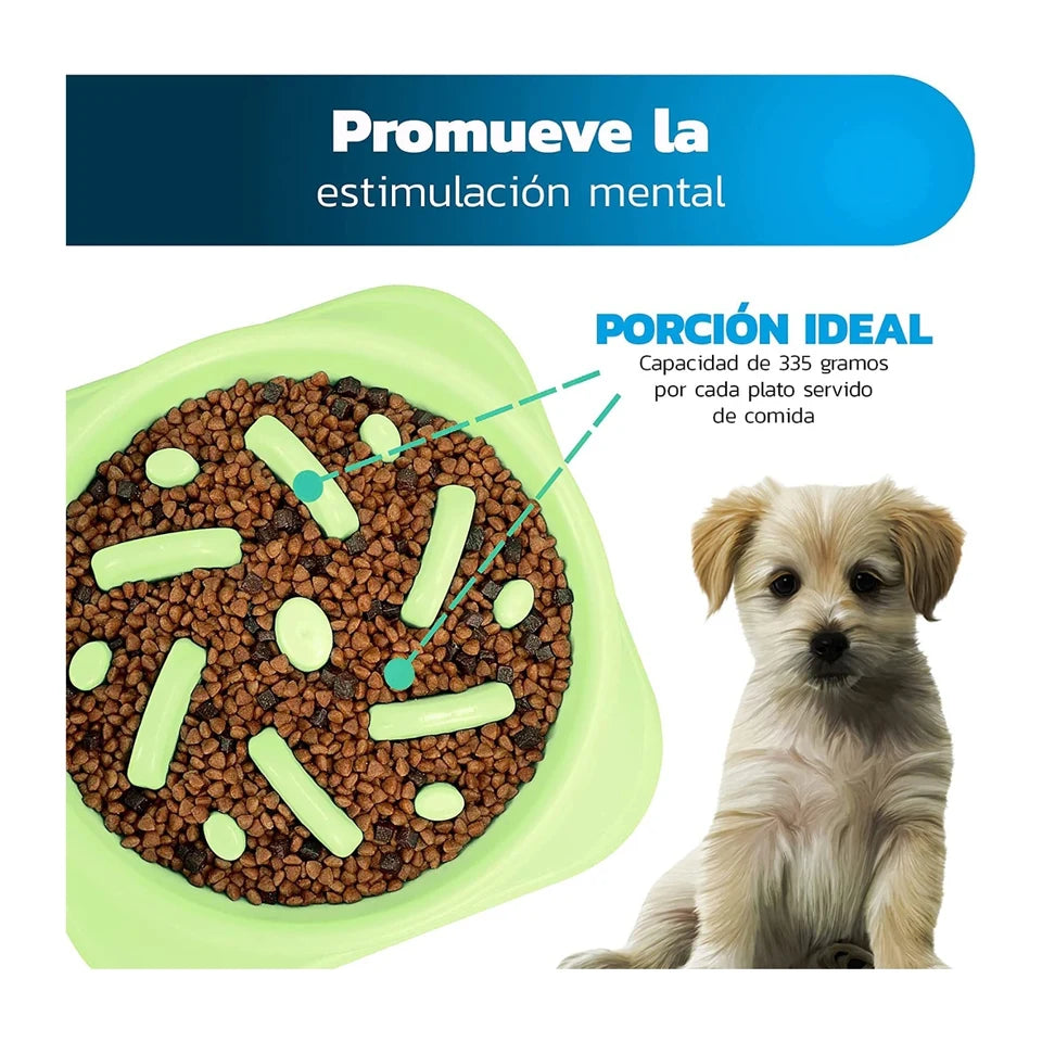 Plato para Perro