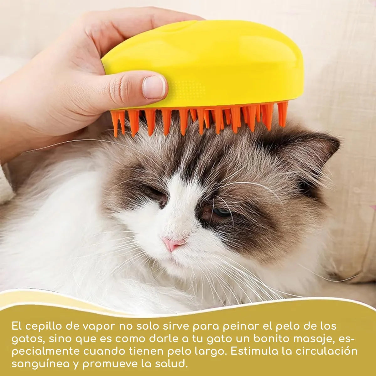 Cepillo para gato Cepillo Vapor Eléctrico 3 en 1