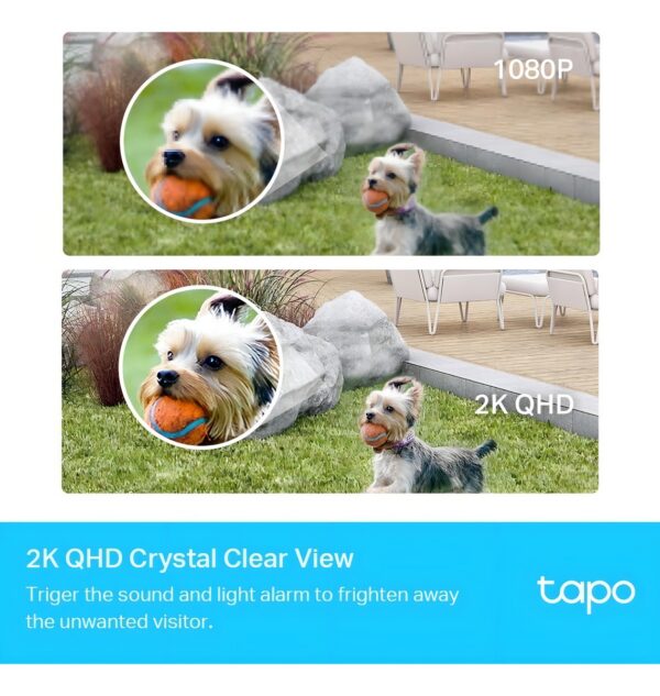 2 Camaras Vigilancia Wifi Tp-Link Tapo C420S2 2K Qhd Exterio Color Blanco
