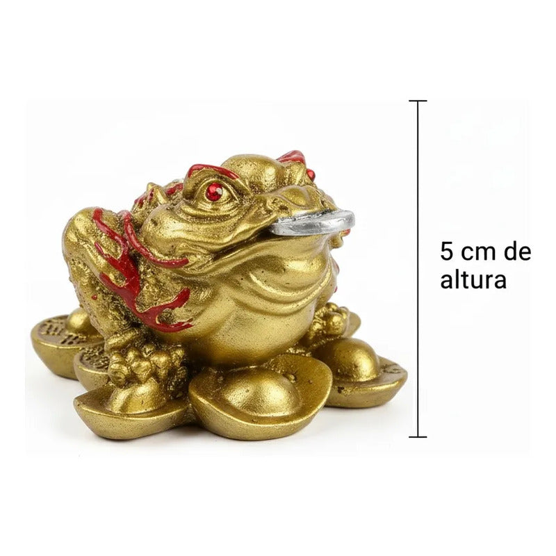Rana De La Fortuna Dorada Feng Shui 5 Cm Para Abundancia Dorado