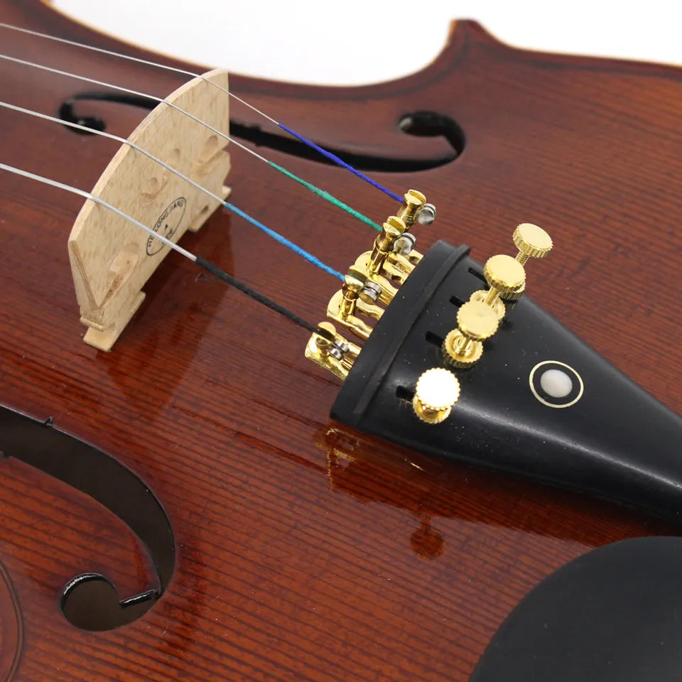 pintura de aceite de violín avanzada