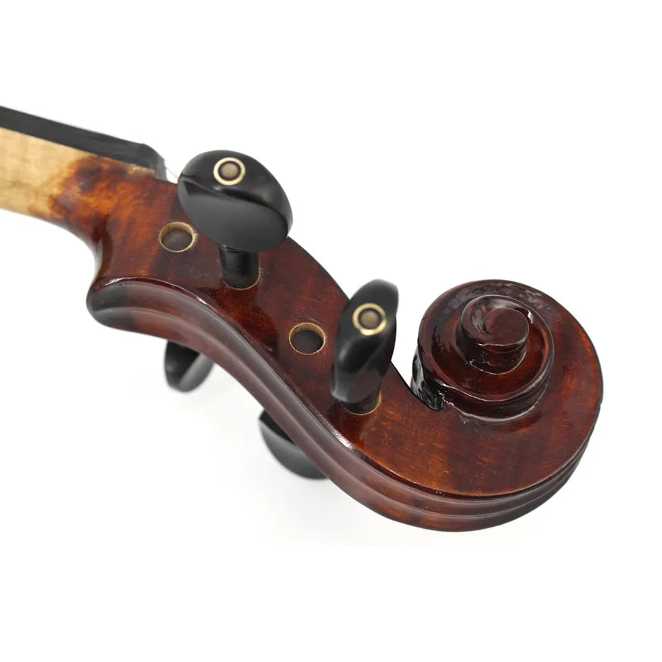 pintura de aceite de violín avanzada