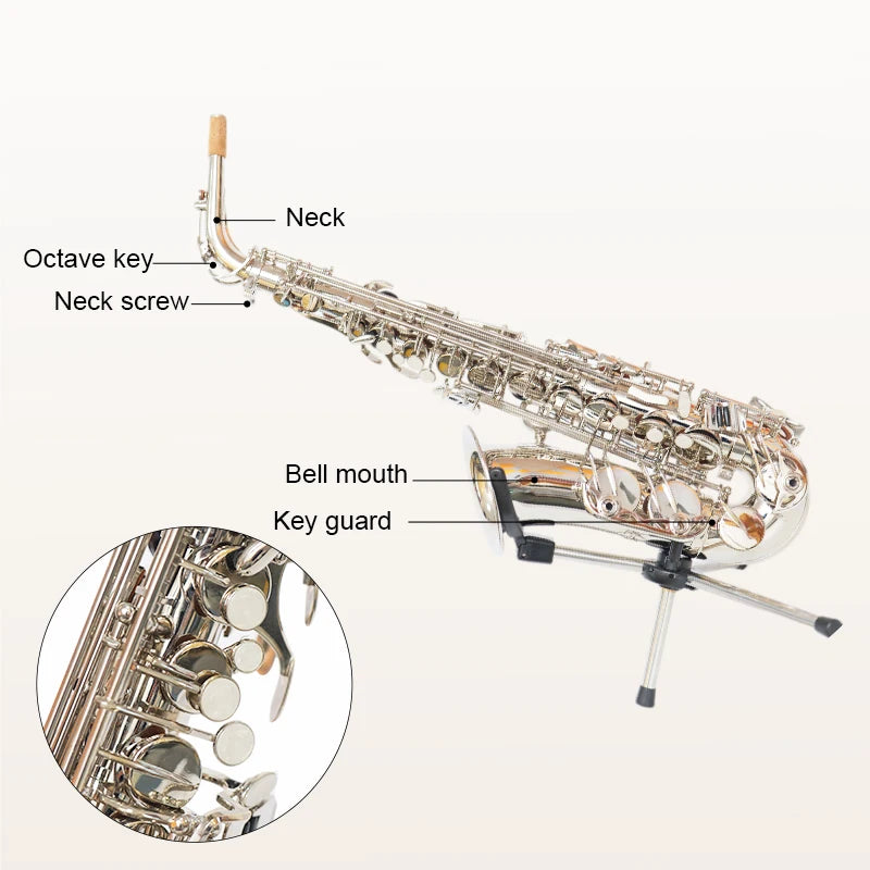 Saxofón Alto de Latón Salinte
