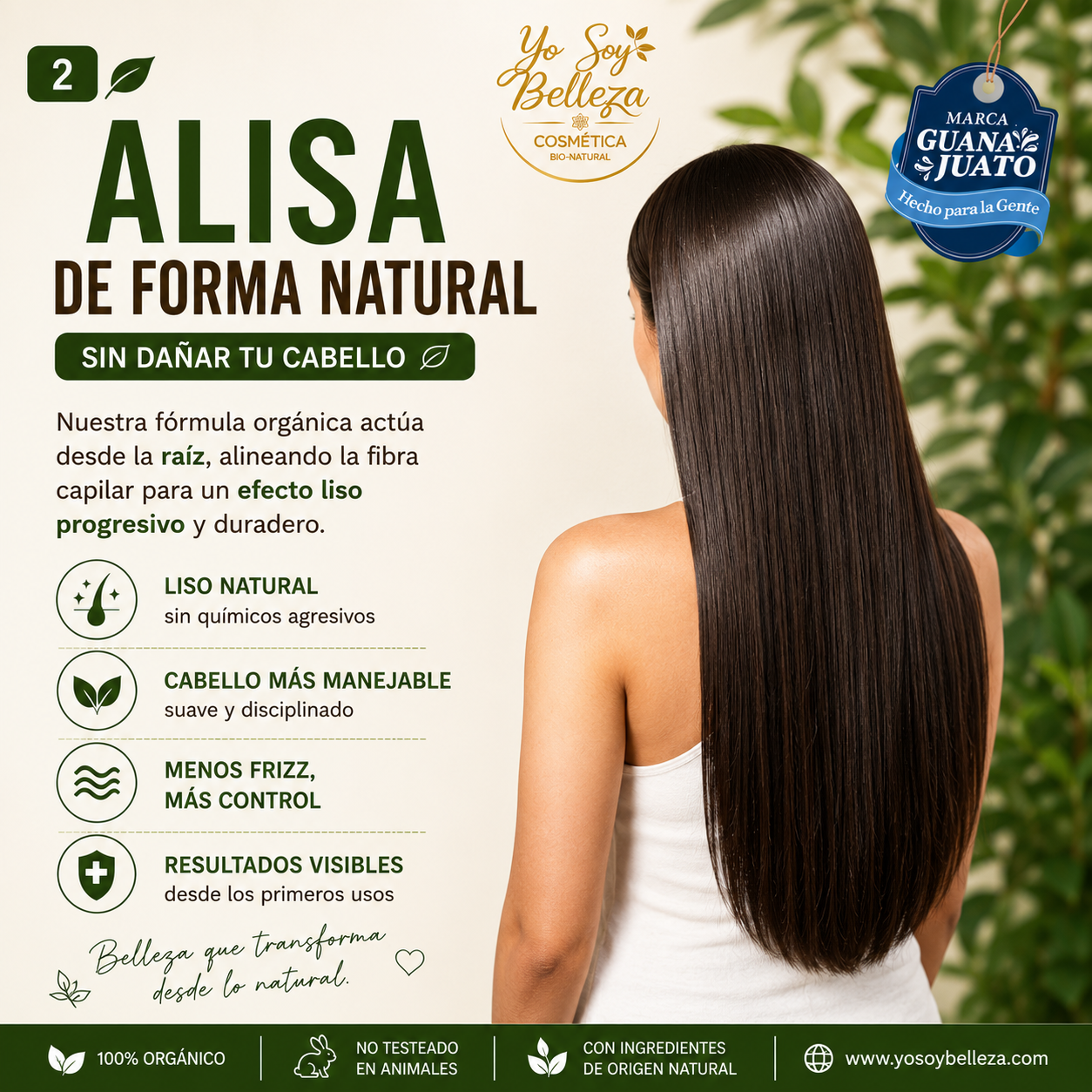 Shampoo Alaciador Natural Lizz  500 ml
