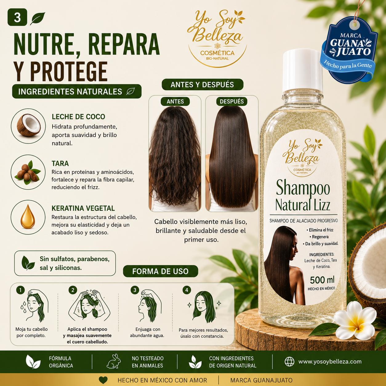 Shampoo Alaciador Natural Lizz  500 ml