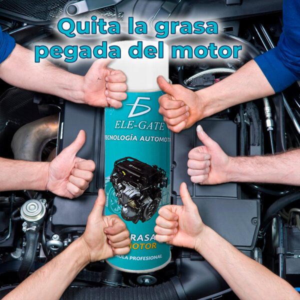 Desengrasante Para Motor – 530 Ml