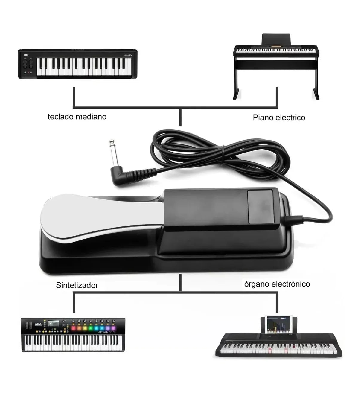 Piano Teclado Lab.G Pedal Para Casio Negro