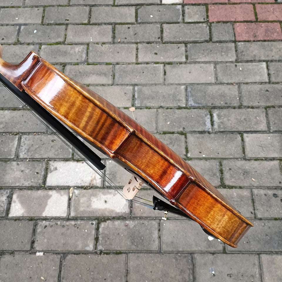 Más de 30 años de violín de abeto europeo