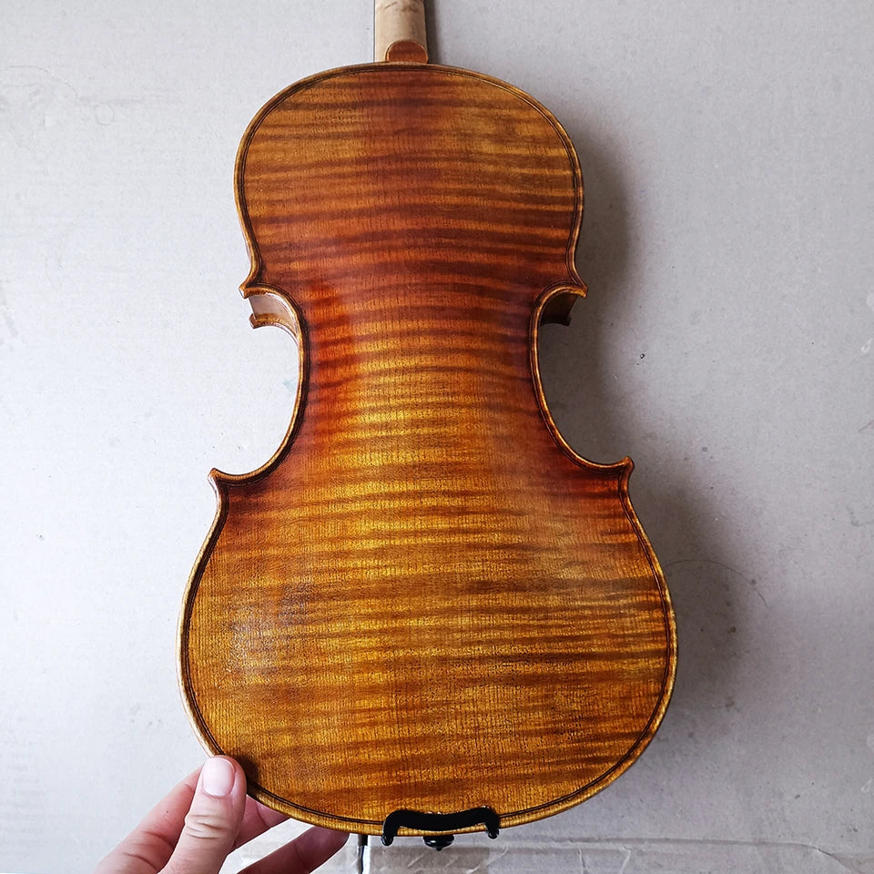 Más de 30 años de violín de abeto europeo