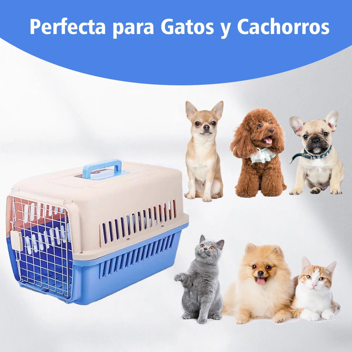 Jaulas para perros y gatos Transportador