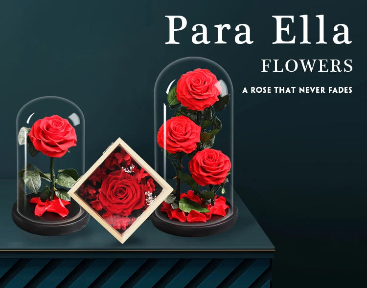 Flor de oso de musgo Real de peluche