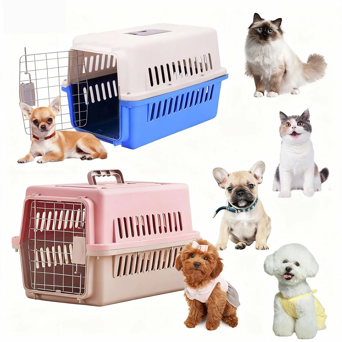 Jaulas para perros y gatos Transportador