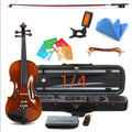 pintura de aceite de violín avanzada