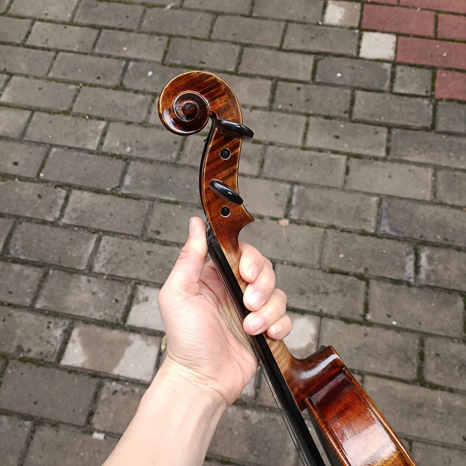 Más de 30 años de violín de abeto europeo