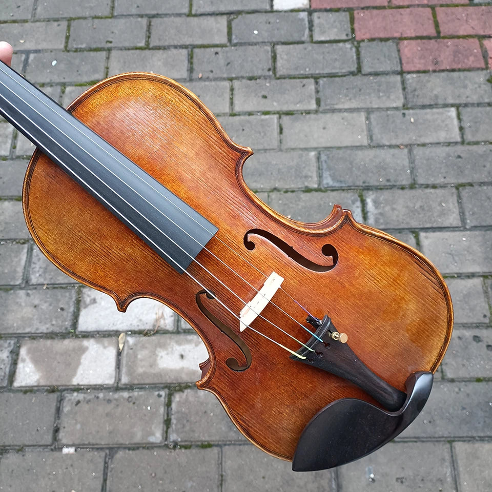 Más de 30 años de violín de abeto europeo