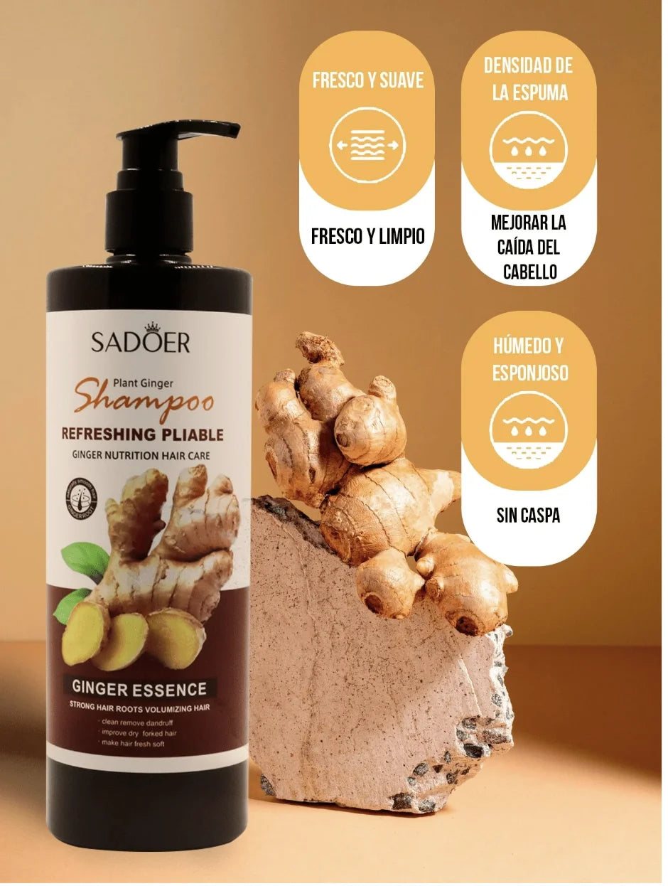 Shampoo -  Champú con gengibre Anticaspa