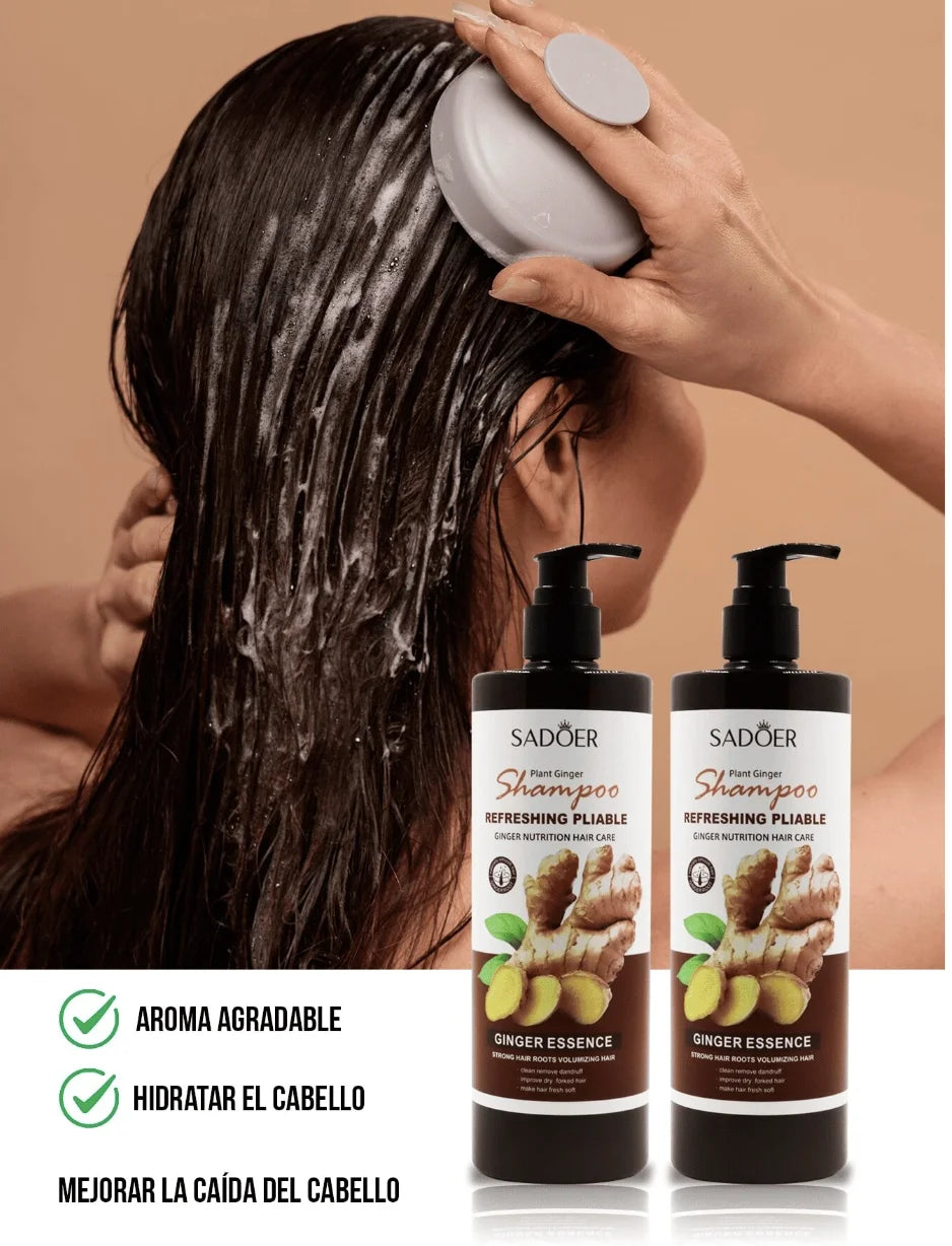 Shampoo -  Champú con gengibre Anticaspa