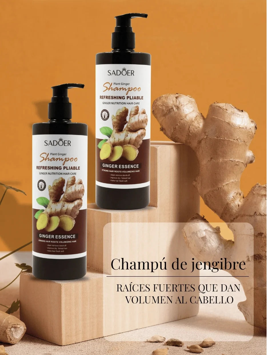 Shampoo -  Champú con gengibre Anticaspa