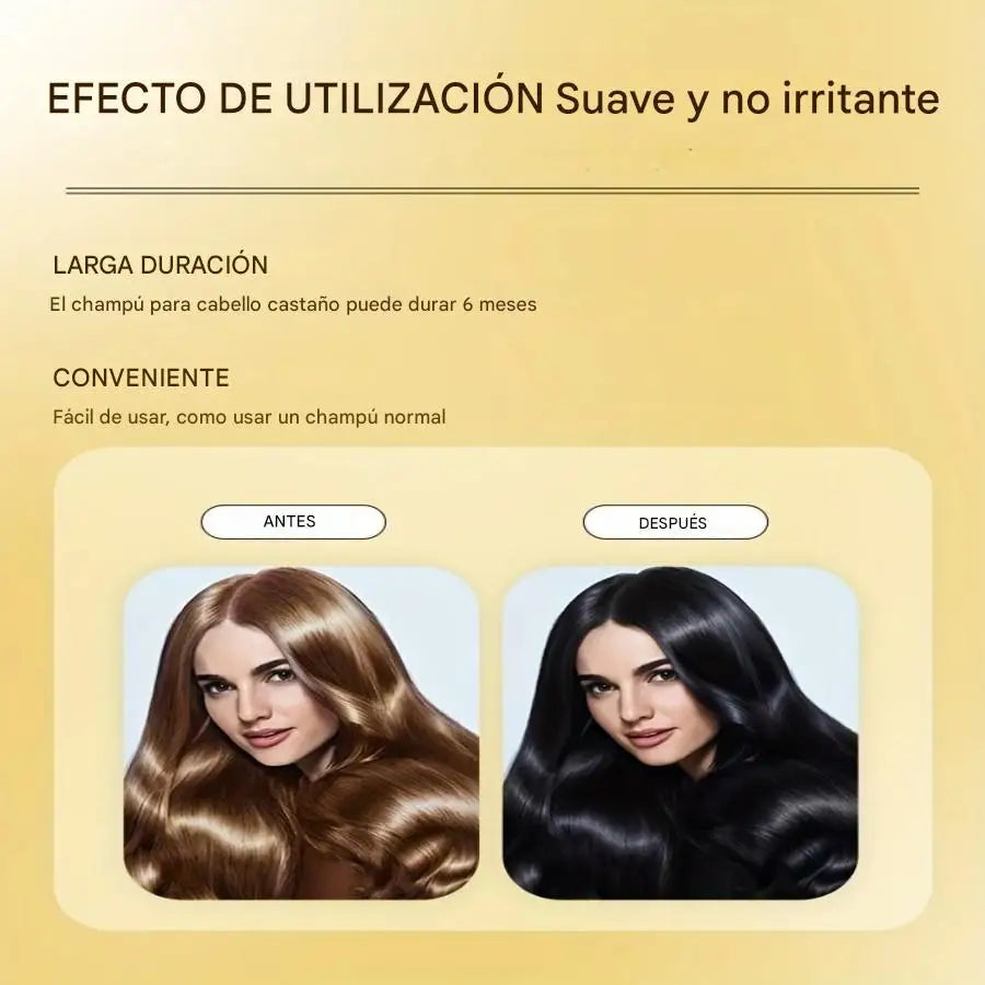 Shampoo Tinte Cubre Canas