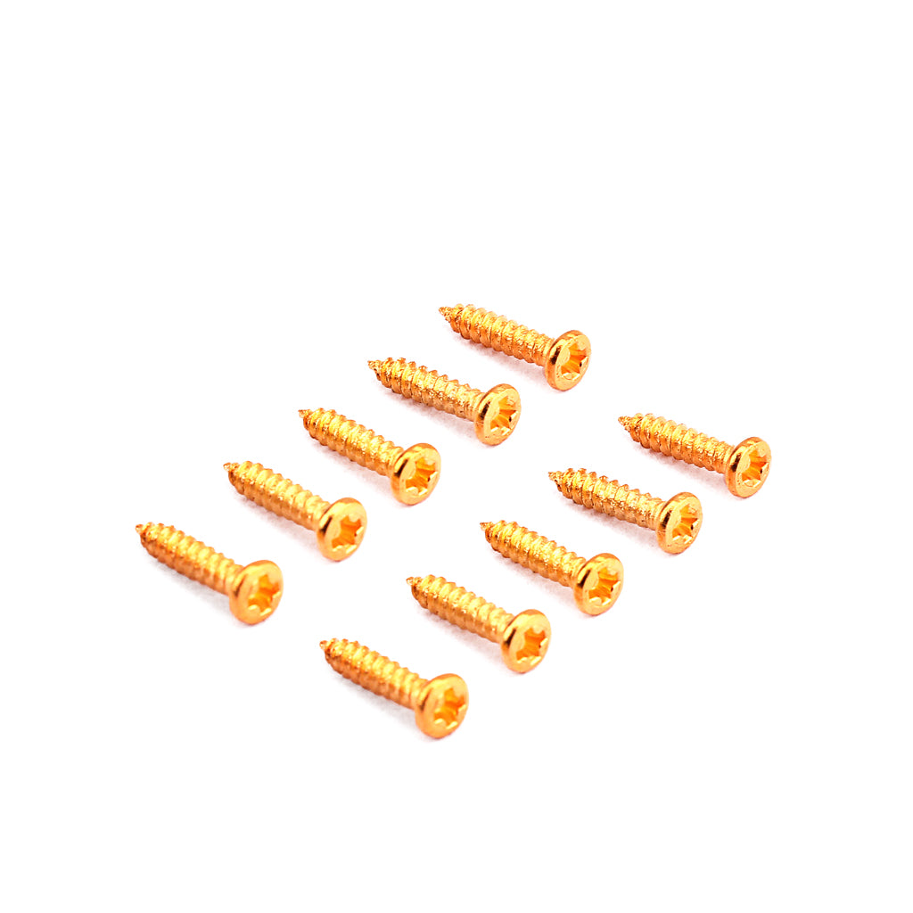Tornillos de Montaje para Clavija