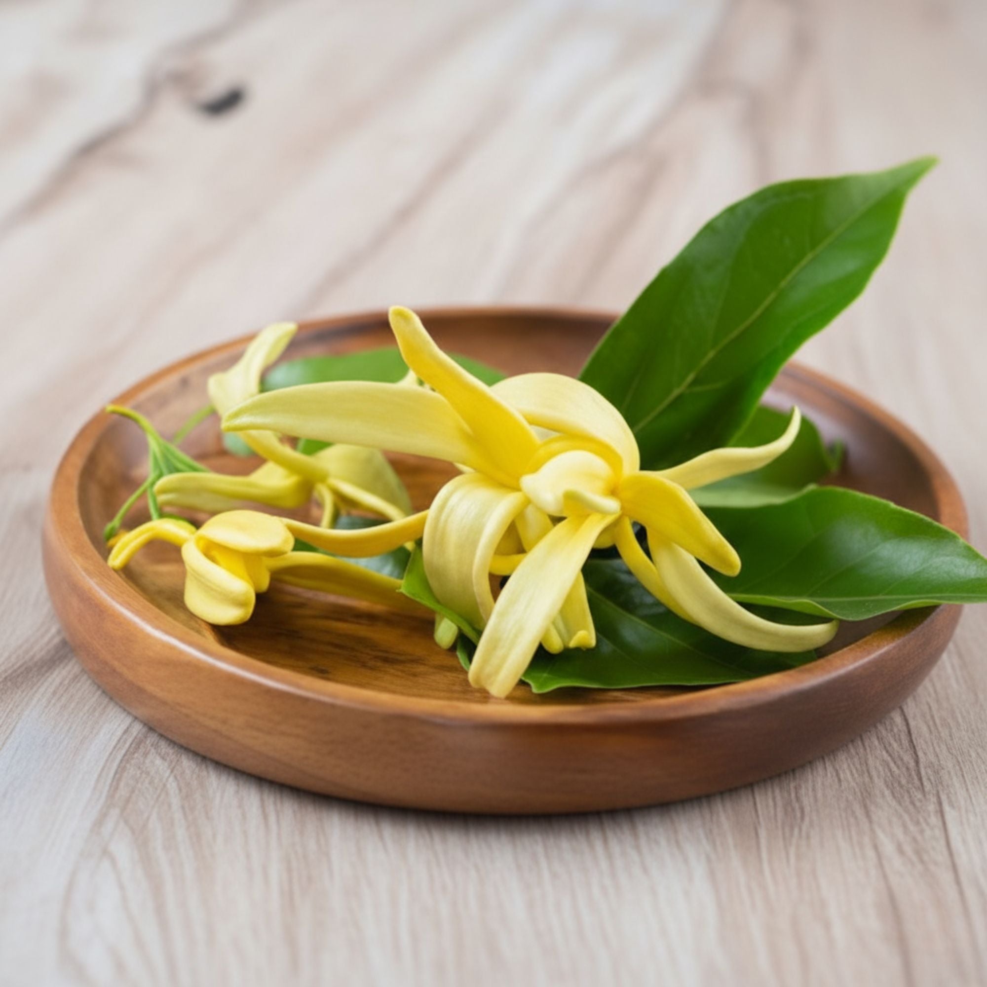 Aceite Esencial Candle Craft  – Ylang Ylang - Aroma Floral Dulce Aromatizante para Aromaterapia Velas Difusores y Bienestar en el Hogar