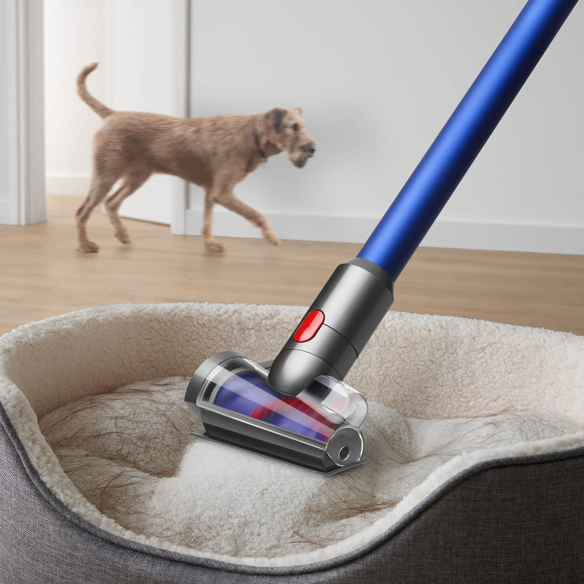 Aspirador Dyson