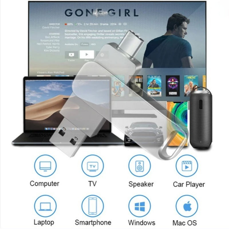 Unidad De Memoria Portátil HP USB
