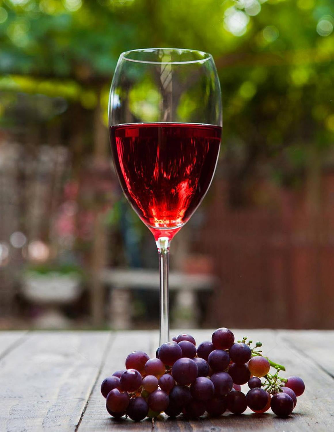 Pack de 12 Vino Tinto Casa Madero 3V 750 ml Casa Madero 3V