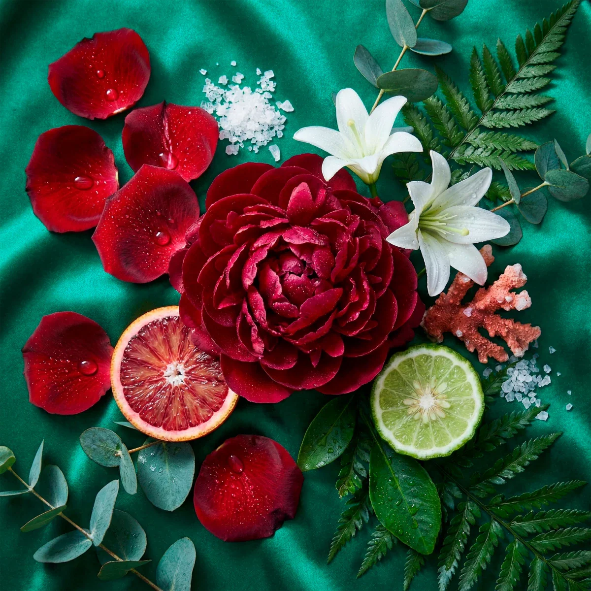 Fragancia Candle Craft - Midnight Peony - Peonia de Medianoche - Inspirada en Bath & Body Works (BBW)® / White Barn®