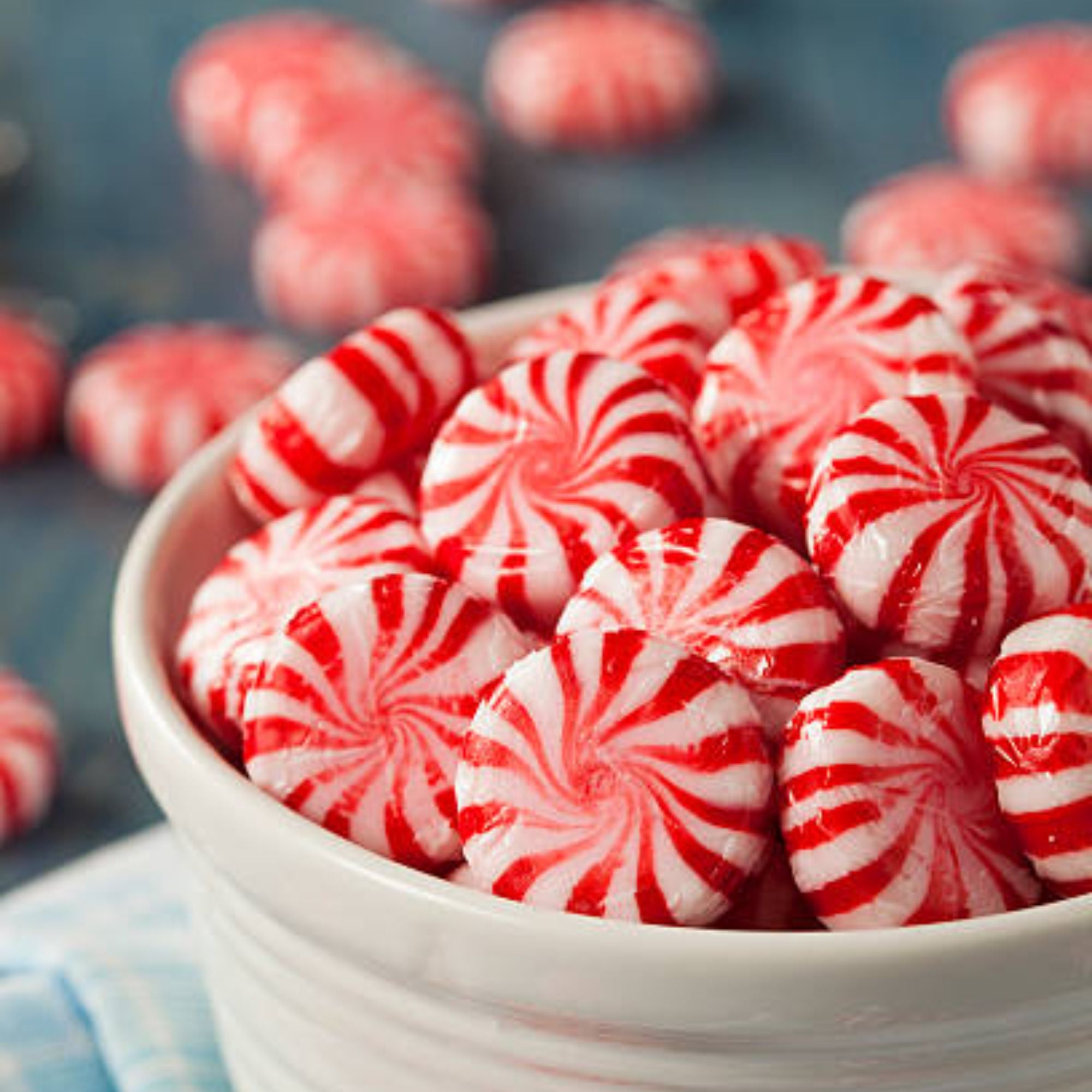 Fragancia Candle Craft - T - Peppermint Swirl – Dulce de Menta - Importado de USA