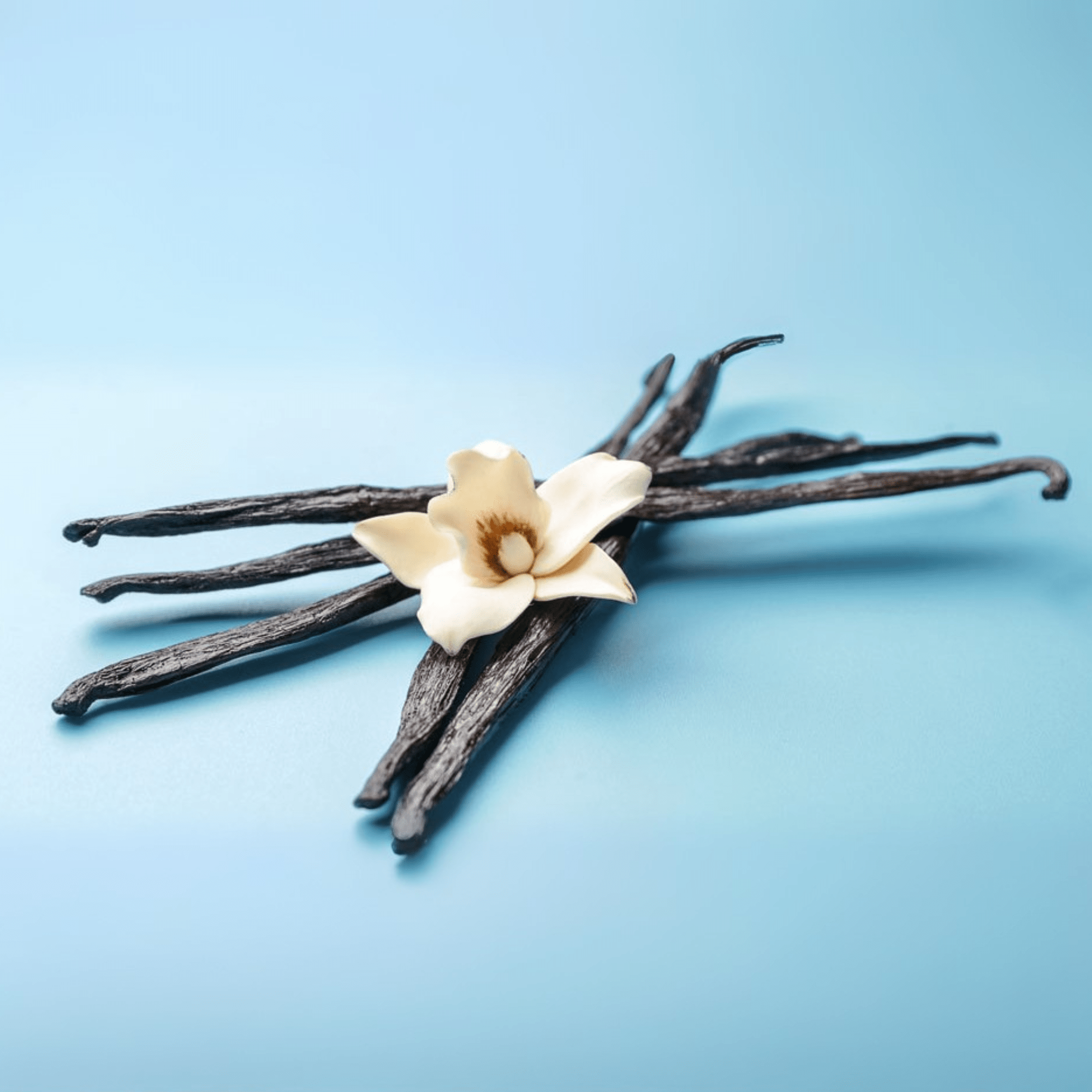 Fragancia Candle Craft - Vanilla Bean - Vaina de Vainilla - Importado de USA