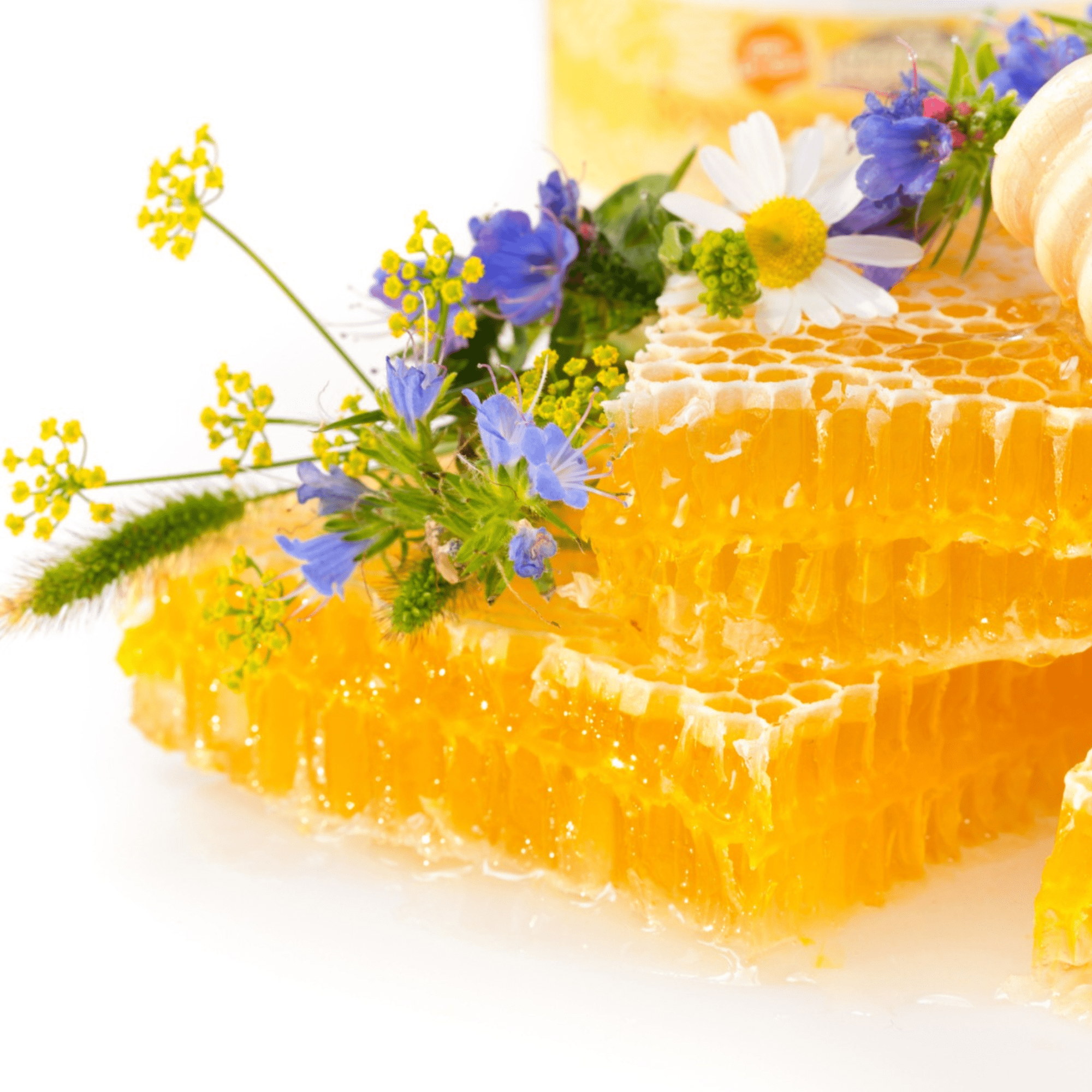 Fragancia Candle Craft - EOL - White Honey & Amber - Miel Blanca & Ámbar - Importado de USA