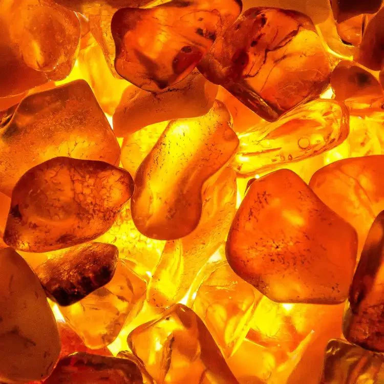 Fragancia Candle Science - EOL - Amber Element – Elemento de Ámbar - Importado de USA
