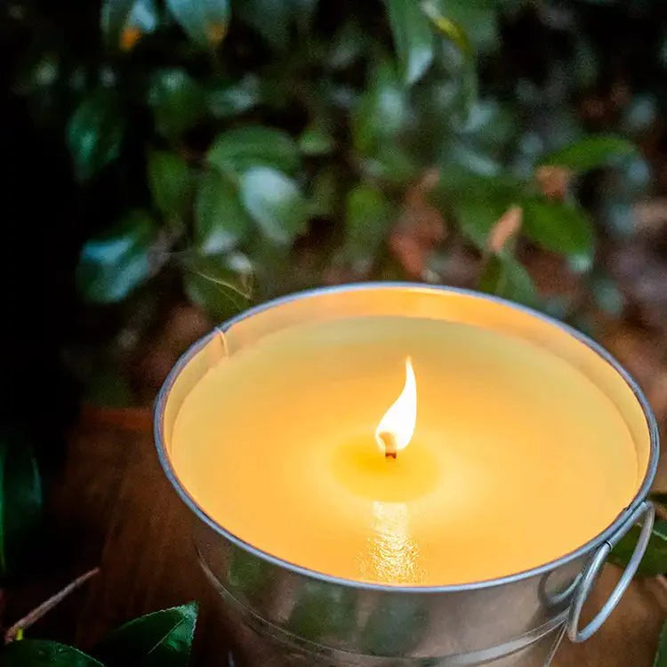 Fragancia Candle Science - Citronella - Citronela - Importado de USA