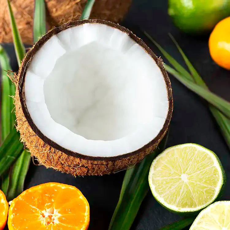 Fragancia Candle Science - EOL - Coconut Lime Verbena - Coco con Lima y Verbena - Importado de USA