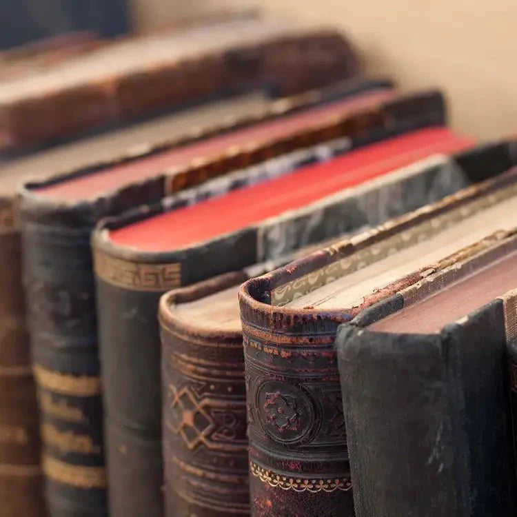 Fragancia Candle Science - EOL - Library - Biblioteca - Importado de USA
