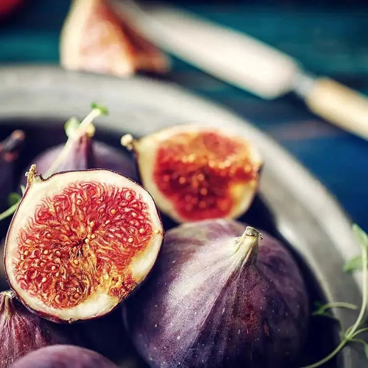 Fragancia Candle Science - EOL - Mediterranean Fig - Higo Mediterráneo - Importado de USA