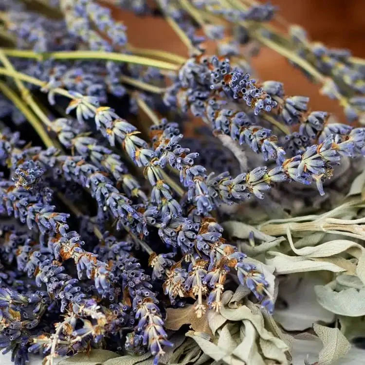Fragancia Candle Science - White Sage and Lavender - Salvia Blanca y Lavanda - Importado de USA