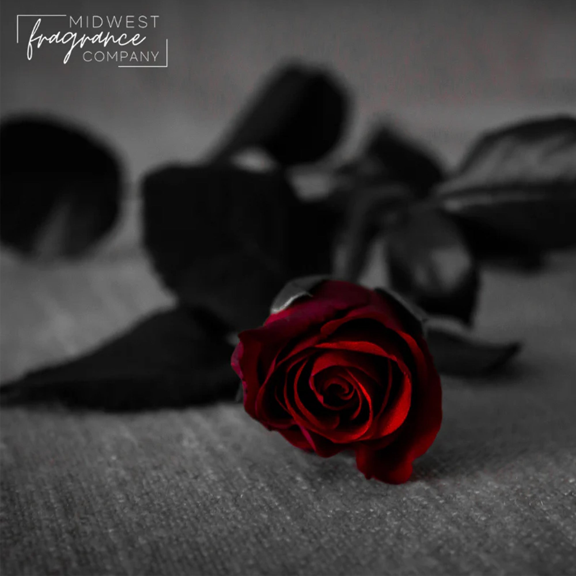 Fragancia Midwest Fragrance Company - Dark Kiss - Inspirada en Bath & Body Works (BBW)® / White Barn ®
