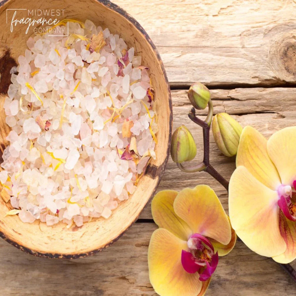 Fragancia Midwest Fragrance Company - Sea Salt + Orchid - Sal Marina y Orquídea - Importado de USA